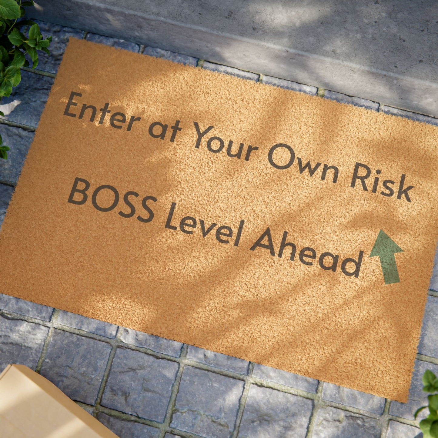 Funny Welcome Doormat - 'Enter at Your Own Risk, BOSS Level Ahead'
